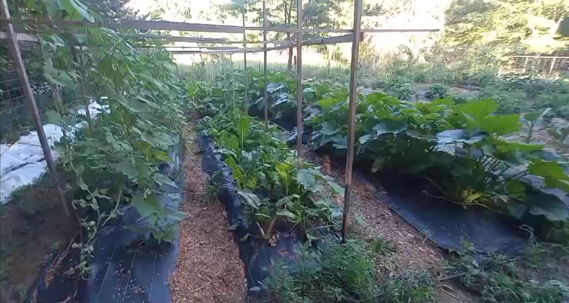 Nature's Circle Farm